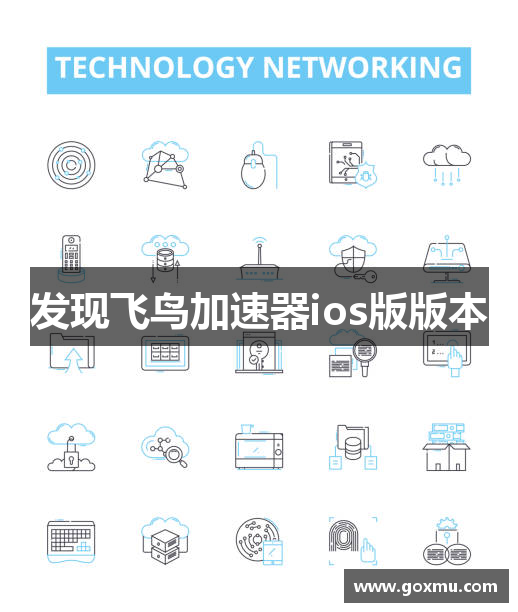 发现飞鸟加速器ios版版本