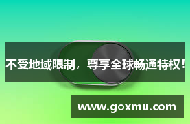 飞鸟加速器官方版