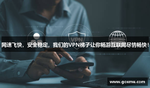 飞鸟加速器安卓下载